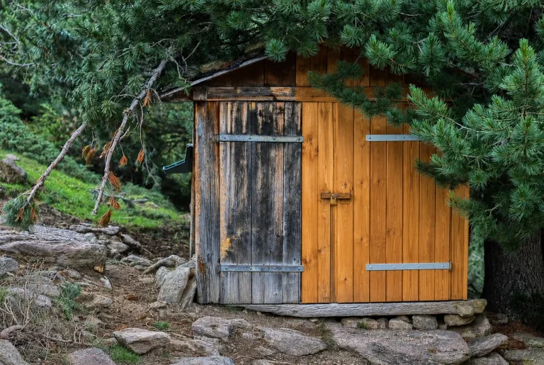 Rénover ou remplacer un abri de jardin : comment décider sans se tromper